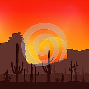 Sunset with Saguaro Cactus. Desert. Vector background.