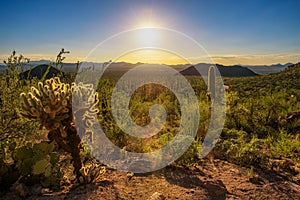 Sunset in Saguaro National Park in Arizona