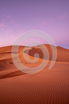 Sunset in the Sahara desert in Morocco