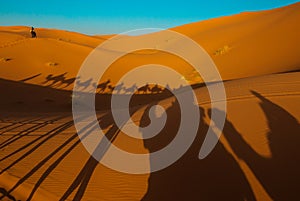 Sunset in Sahara Desert photo