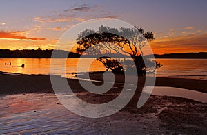 Sunset Salamander Bay