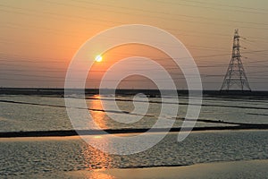 Sunset with Saltwater Crops photo