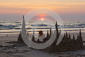 Sunset with sand castles and a dog
