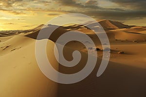 Sunset on sand dune in the sahara desert