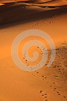 Sunset at sand dunes