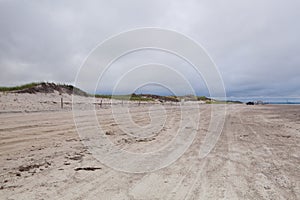 Sunset in the sand dunes beach on the Cape Cod National Seashore
