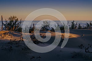 Sunset on the sand dunes with grass, beaches of Pellestrina island, Venetian lagoon, Italy