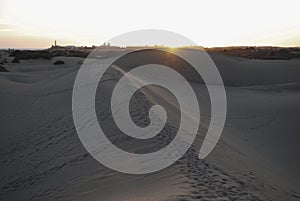 Sunset in the sand dunes of the Maspalomas Desert, Gran Canaria, Spain.