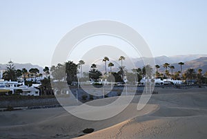 Sunset in the sand dunes of the Maspalomas, palm trees and an oasis in the background.