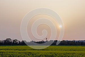 Sunset with sand suspended in the atmosphere, coluring the sky red, over some cultivated fields with yellow flowers photo