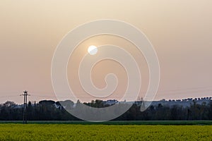 Sunset with sand suspended in the atmosphere, coluring the sky red, over some cultivated fields with yellow flowers photo