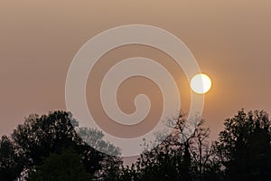 Sunset with sand suspended in the atmosphere, coluring the sky red, over some trees silhouettes photo