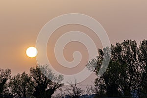 Sunset with sand suspended in the atmosphere, coluring the sky red, over some trees silhouettes photo