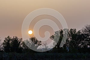 Sunset with sand suspended in the atmosphere, coluring the sky red, over some trees silhouettes photo