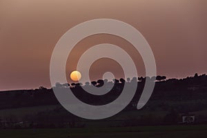 Sunset with sand suspended in the atmosphere, coluring the sky red, over some trees silhouettes photo