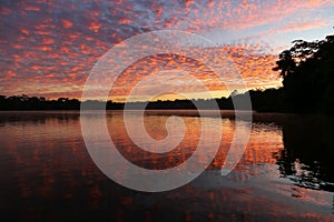 Sunset on the Sandoval lake. Tambopata, Peru