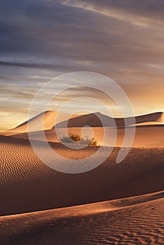Sunset at Sands Dunes National Park