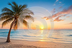 Sunset on sandy beach with palm