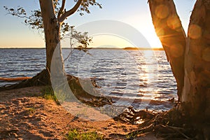 Sunset on the sandy beaches of the Uruguay River