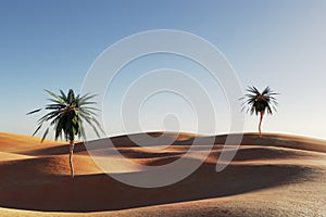 Sunset in a sandy desert, a panorama of the desert with palm trees, 3d rendering
