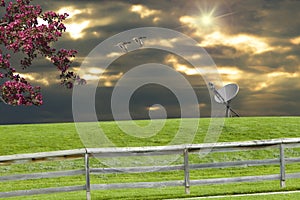 Sunset Satellite Dish