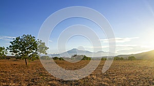 sunset at savana bekol, Baluran National Park, Situbondo, East Java, Indonesia photo