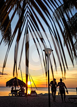 sunset scene framed by palm leaves