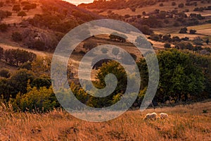 Sunset scene over the hills of Samothrace Island in Greece with