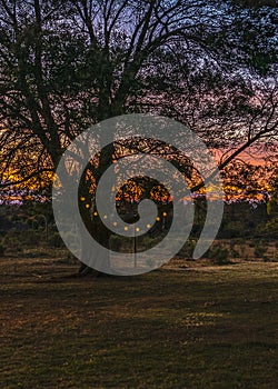 Sunset scene at rural landscape, maldonado, uruguay photo