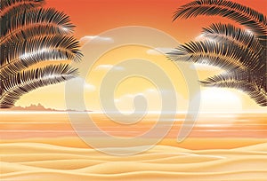 Sunset scene on sea sand beach with coconut tree leaf