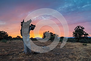 Sunset scenery near Guijo de Galisteo, Extremadura, Spain