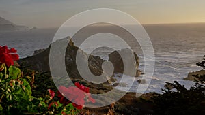 Sunset at scenic Big Sur coast of pacific ocean with beautiful flowers bixby bridge in background pan left