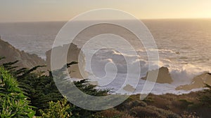 Sunset at scenic Big Sur coast of pacific ocean with beautiful flowers and green plants waves in background slow motion