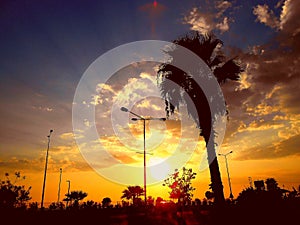 Sunset in the sea city, beach view, palm trees, clouds