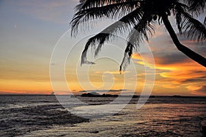Sunset with Sea and Palmtree, Sri Lanka