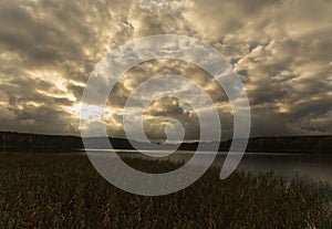 Sunset at a sea with reed at autumn in Mecklenburg-West Pomerania Germany Europe