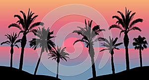 Sunset in the sea, silhouettes of palm trees on the beach. Vector illustration