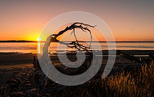 Sunset at secluded beach at Fortrose in New Zealand.