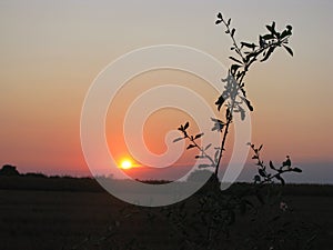 Sunset in Serbia