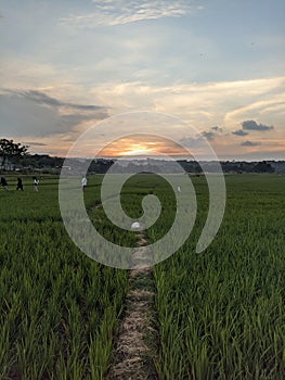 Sunset in Setu Patok