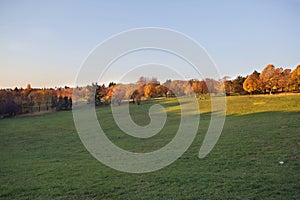 Sunset shadow on rugged hill meadow terrain with forest in background