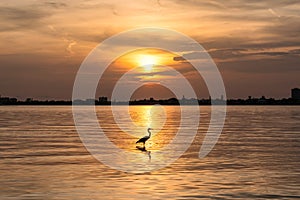 Sunset in Siesta Key beach