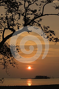 Sunset silhouette at the beach