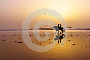 Sunset silhouette of horses and riders, beach of Essaouira