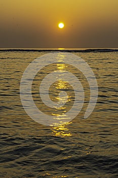 Sunset silhouette at Lakshadweep, is a tropical atolls and coral reefs in the Laccadive Sea. photo