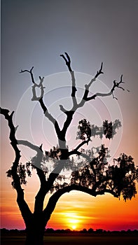 Sunset Silhouette of a Lone Tree illustration Artificial Intelligence artwork generated