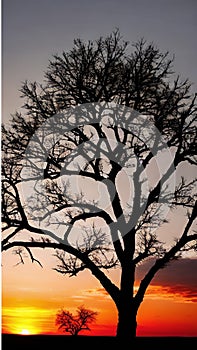 Sunset Silhouette of a Lone Tree illustration Artificial Intelligence artwork generated