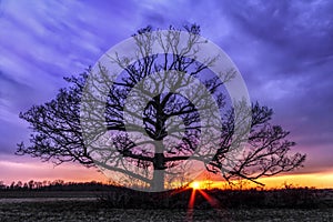 Sunset Silhouette - Sundown Over Indiana