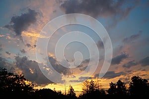 A sunset silhouette of a tree. Romantic concept background. Tr