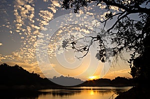 Sunset with silhouette of trees and Cirrocumulus c photo